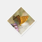 Silver-washed Fritillary butterfly on flower Servet (Hoek)