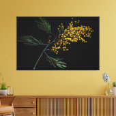 Silver Wattle Flowers Canvas Afdruk (Insitu (Woonkamer))
