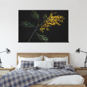Silver Wattle Flowers Canvas Afdruk (Insitu (Slaapkamer))