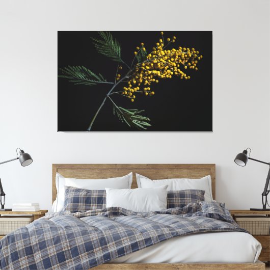 Silver Wattle Flowers Canvas Afdruk (Insitu (Slaapkamer))