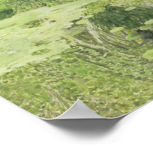 Silver White Willow, 1904 Poster (Hoek)