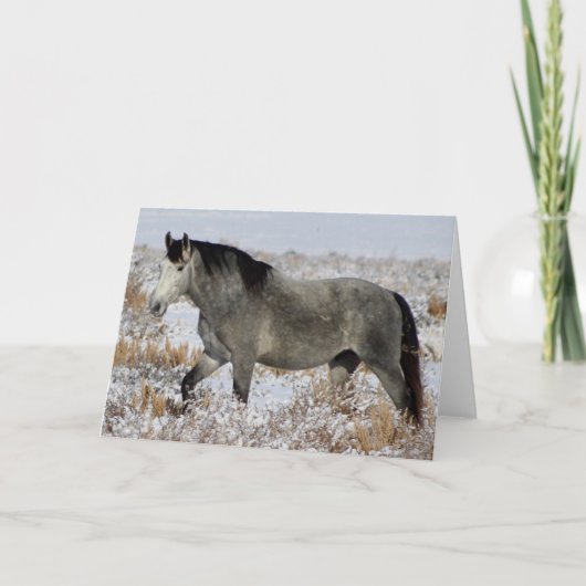 SILVER WILD HORSE VAN UTAH Folded Wenskaart Kaart (Voorkant)