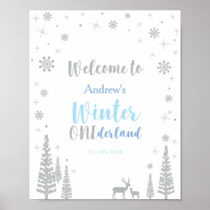 Silver Winter Boy Birthday Party Welcome Sign Poster