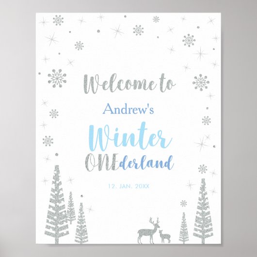 Silver Winter Boy Birthday Party Welcome Sign Poster (Voorkant)