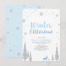 Silver Winter onederland jongen 1e verjaardag