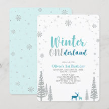 Silver Winter onederland jongen 1e verjaardag