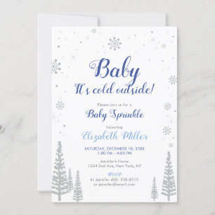 Silver Winter Wonderland - Boy Baby Sprinkle Kaart