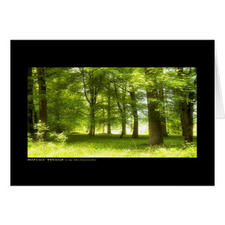 Silver Wood (kaart)