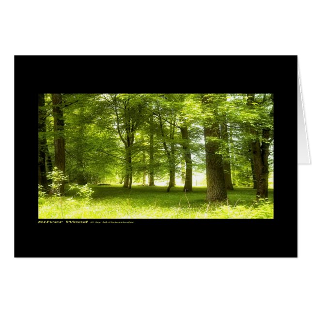 Silver Wood (kaart) (Voorkant Horizontaal)