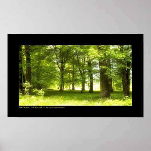 Silver Wood Poster (Voorkant)