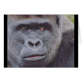 silverback (Voorkant Horizontaal)