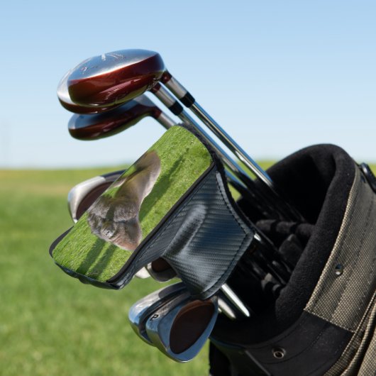 Silverback Batouri Golfheadcover (Insitu)