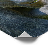 Silverback Close-up Poster (Hoek)