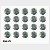 Silverback Dishi Ronde Sticker (Vel)