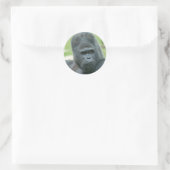 Silverback Dishi Ronde Sticker (Tas)