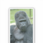 Silverback Dishi Sticker (Voorkant)