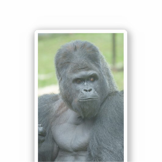 Silverback Dishi Sticker (Voorkant)