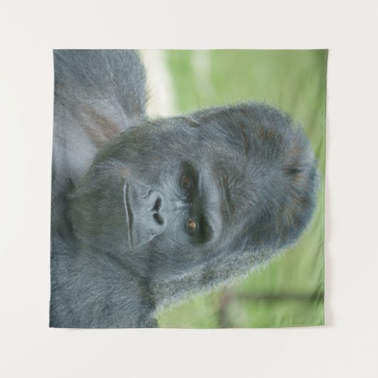 Silverback Dishi Wandkleed (Voorkant (horizontaal))