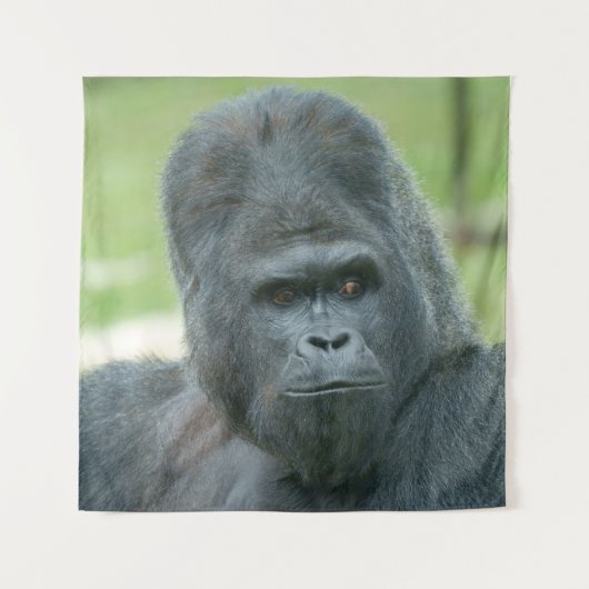 Silverback Dishi Wandkleed (Voorkant)