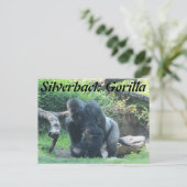Silverback Gorilla # 1 Briefkaart (Staand voorkant)