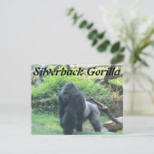 Silverback Gorilla # 2 Briefkaart (Staand voorkant)
