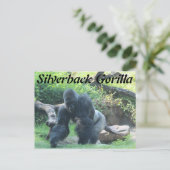 Silverback Gorilla # 3 Briefkaart (Staand voorkant)