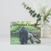 Silverback Gorilla # 4 Briefkaart (Staand voorkant)