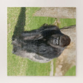 Silverback Gorilla – A Moment of Power Legpuzzel (Horizontaal)