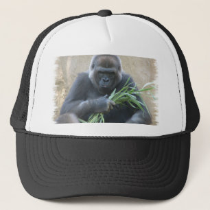 Silverback Gorilla Baseball Hat Trucker Pet