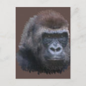 Silverback Gorilla Briefkaart (Voorkant)