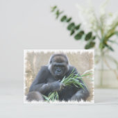 Silverback Gorilla Briefkaart (Staand voorkant)