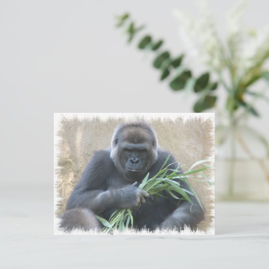 Silverback Gorilla Briefkaart (Staand voorkant)