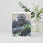 Silverback Gorilla Briefkaart (Staand voorkant)