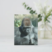 Silverback Gorilla Briefkaart (Staand voorkant)