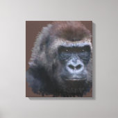 Silverback Gorilla Canvas Afdruk (Voorkant)