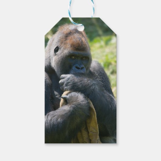 Silverback Gorilla en zijn portemonnee Cadeaulabel (Voorkant)