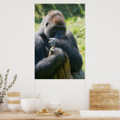 Silverback Gorilla en zijn portemonnee Poster (Keuken)