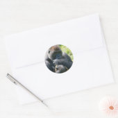 Silverback Gorilla en zijn portemonnee Ronde Sticker (Envelop)