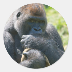 Silverback Gorilla en zijn portemonnee Ronde Sticker