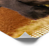 Silverback Gorilla Foto afdrukken Poster (Hoek)