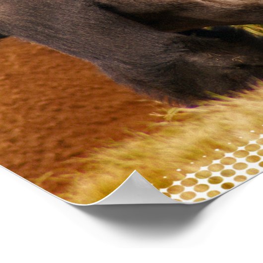 Silverback Gorilla Foto afdrukken Poster (Hoek)