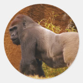 Silverback Gorilla Foto Sticker (Voorkant)