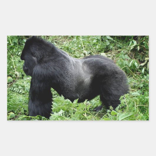 Silverback gorilla foto sticker (Voorkant)