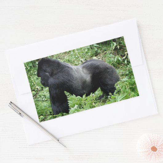 Silverback gorilla foto sticker (Envelop)
