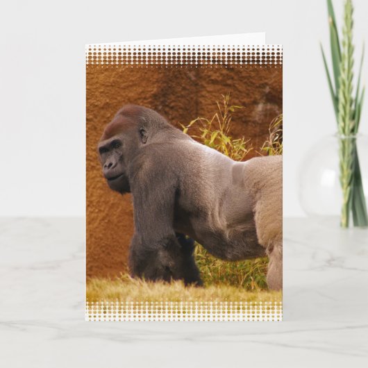 Silverback Gorilla Foto Wenskaart Kaart (Voorkant)