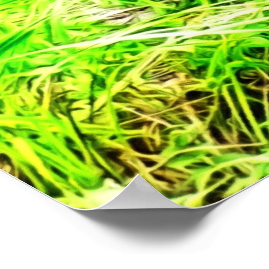 Silverback Gorilla fotoschilderen Poster (Hoek)