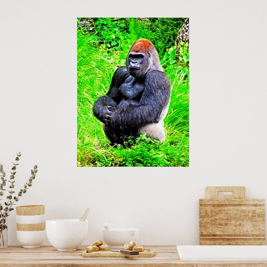 Silverback Gorilla fotoschilderen Poster (Keuken)