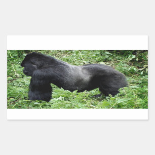 Silverback gorilla-fotosticker rechthoekige sticker