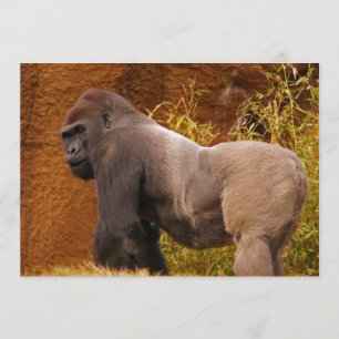 Silverback Gorilla Fotouitnodiging Kaart