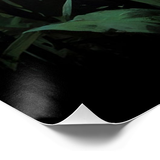 Silverback Gorilla in Rwandese Oerwoud Perfect Poster (Hoek)